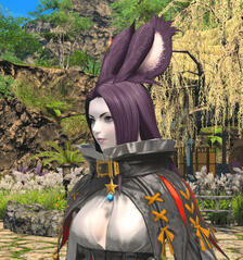 *like the above example*